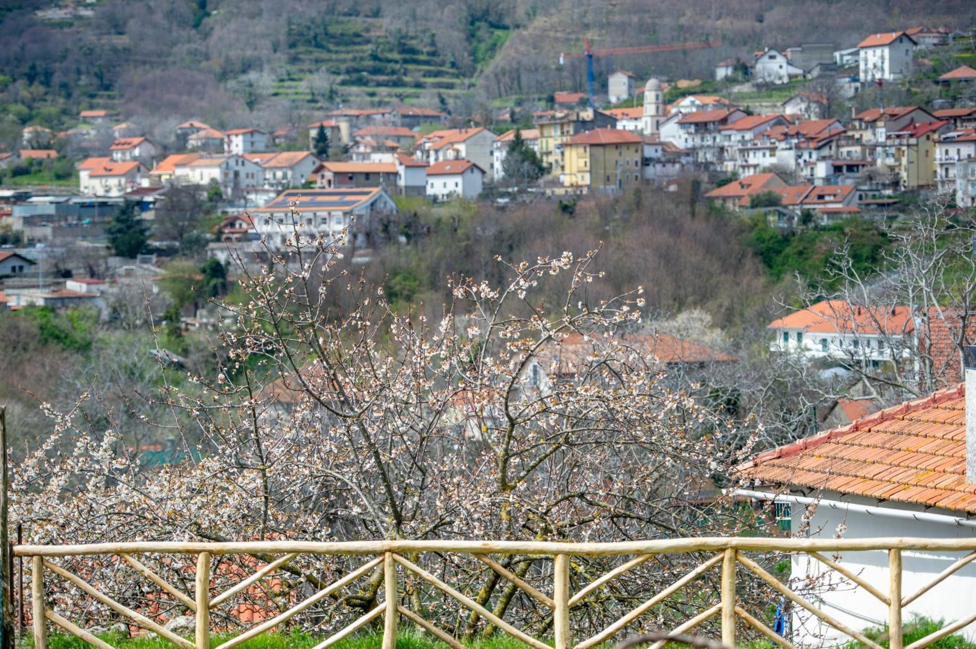 Appartamenti Aria Di Verde Agerola Eksteriør bilde